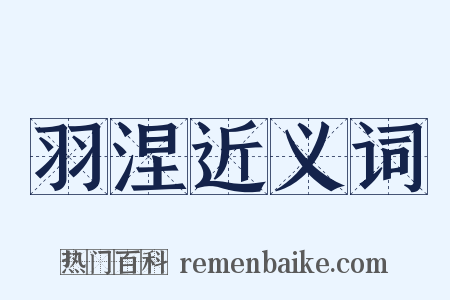 羽涅近义词是什么意思的图片